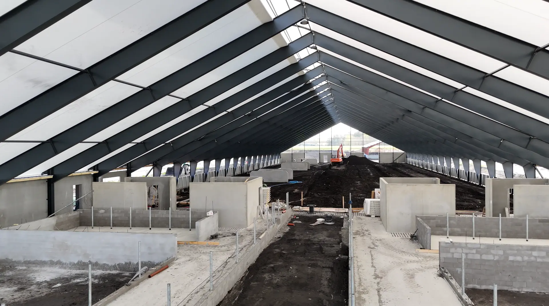Indvendigt foto af kvægstalden i Hjørring under opførelse med betonbokse og stålspær