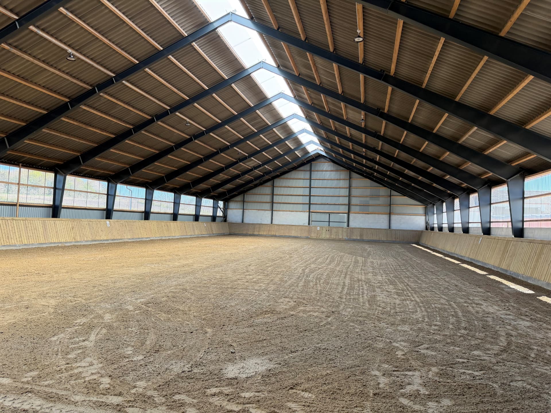Indvendigt foto af ridehallen i Havbro med sandridebane og lyseindfald fra tagvinduer